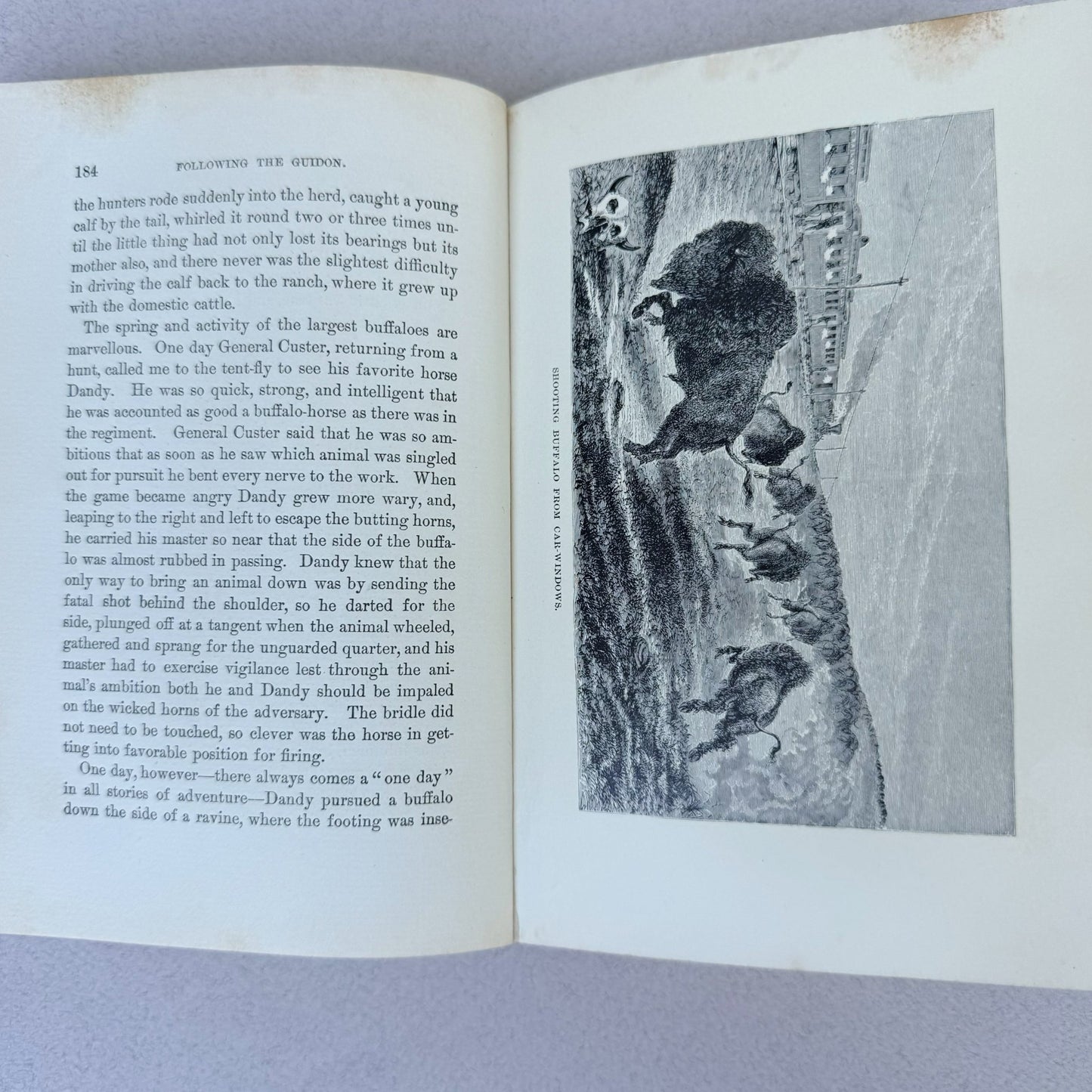 Following The Guidon, General Custer, 1890 - Pretty Old Books