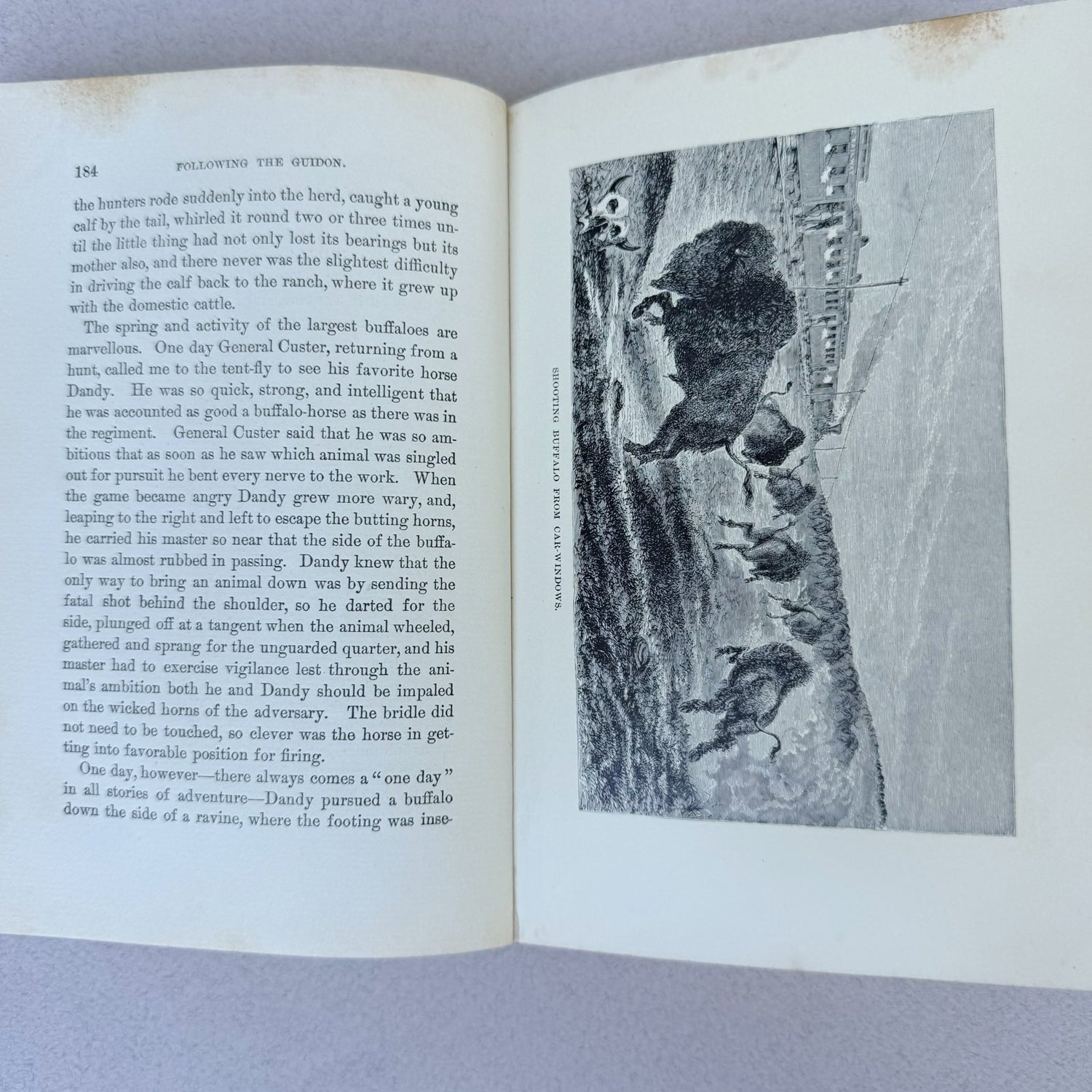 Following The Guidon, General Custer, 1890 - Pretty Old Books