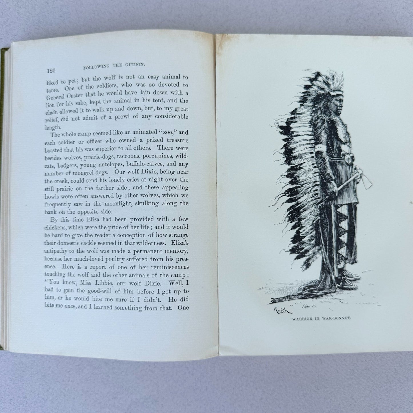Following The Guidon, General Custer, 1890 - Pretty Old Books