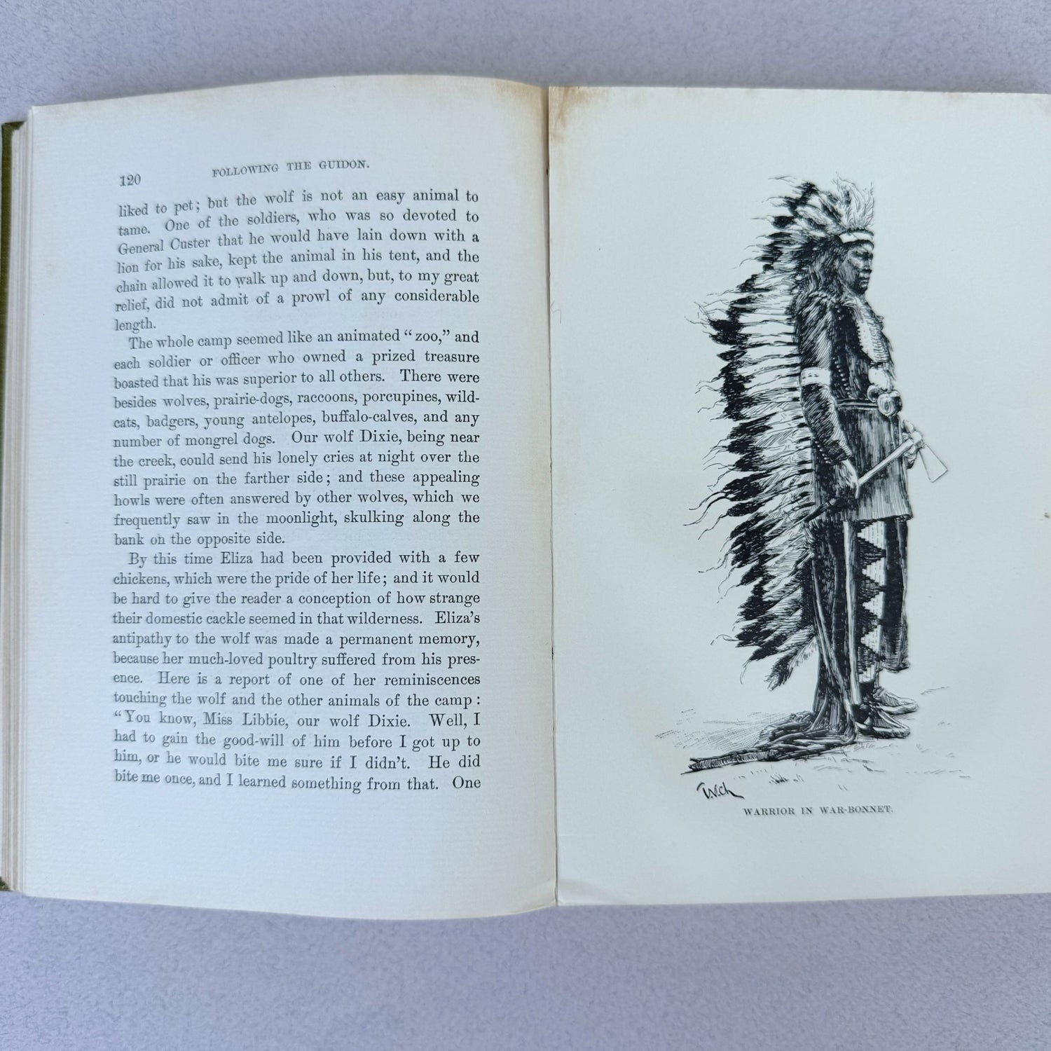 Following The Guidon, General Custer, 1890 - Pretty Old Books