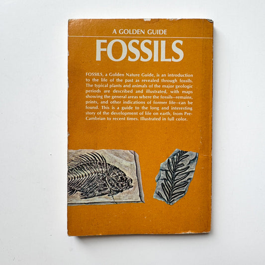 Fossils A Golden Guide Paperback 1962 - Pretty Old Books