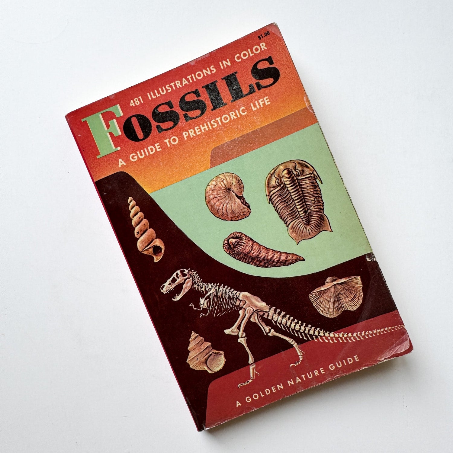 Fossils: A Golden Nature Guide, Paperback, 1962 - Pretty Old Books