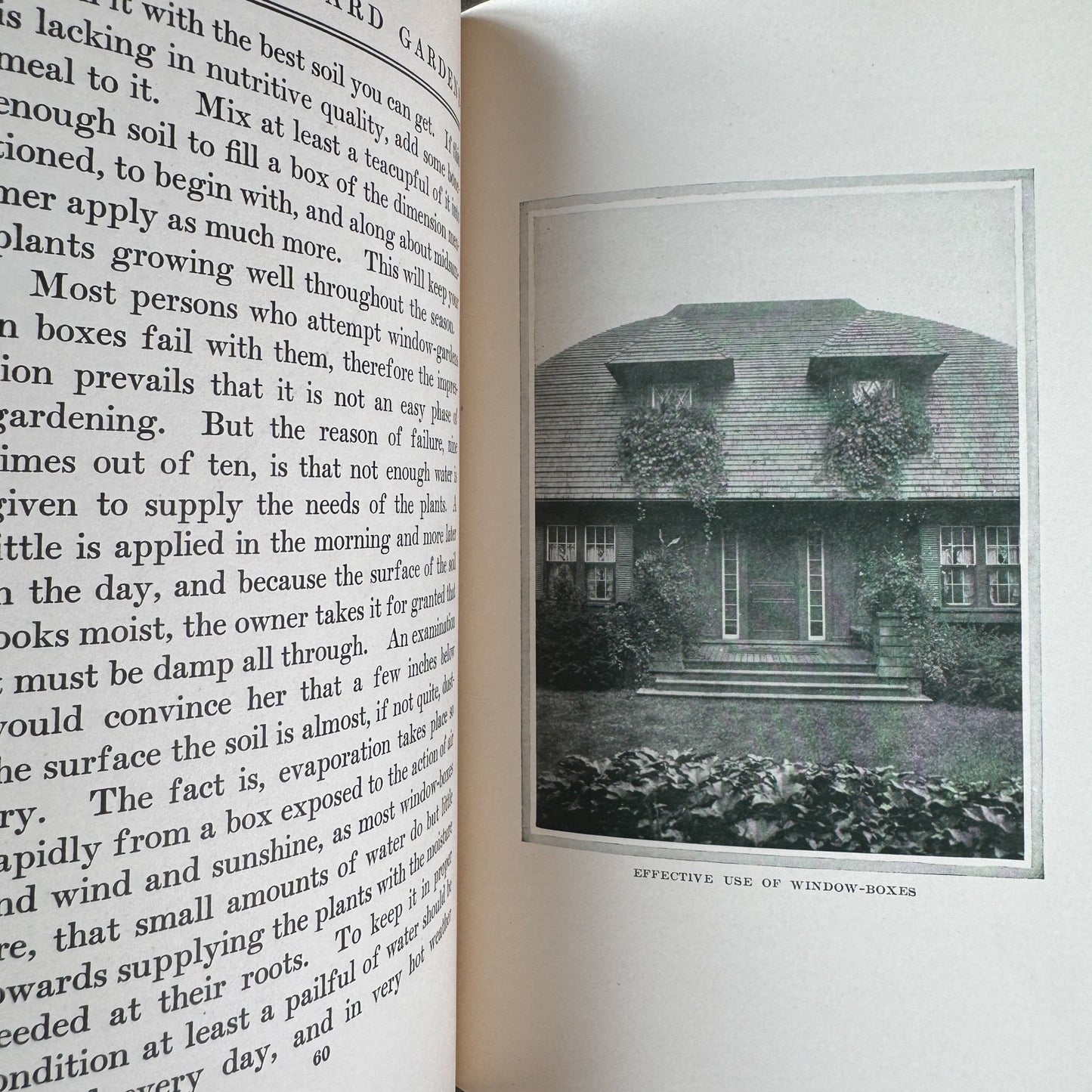 Four Seasons in the Garden, Eben E. Rexford, 1907 - Pretty Old Books