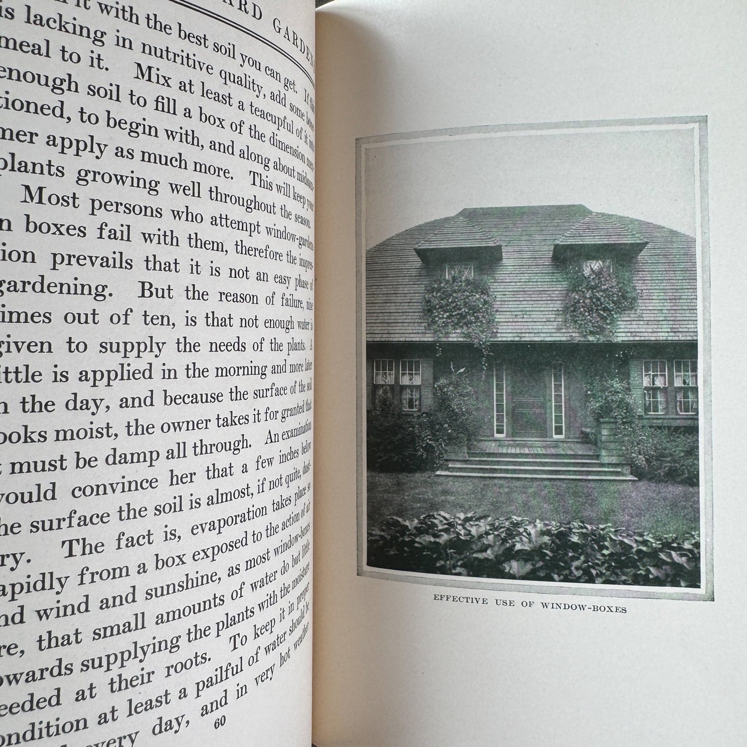 Four Seasons in the Garden, Eben E. Rexford, 1907 - Pretty Old Books
