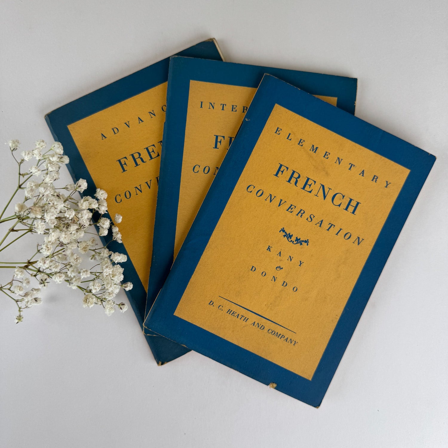 French Conversation: Set of 3 Vintage Paperbacks - Pretty Old Books