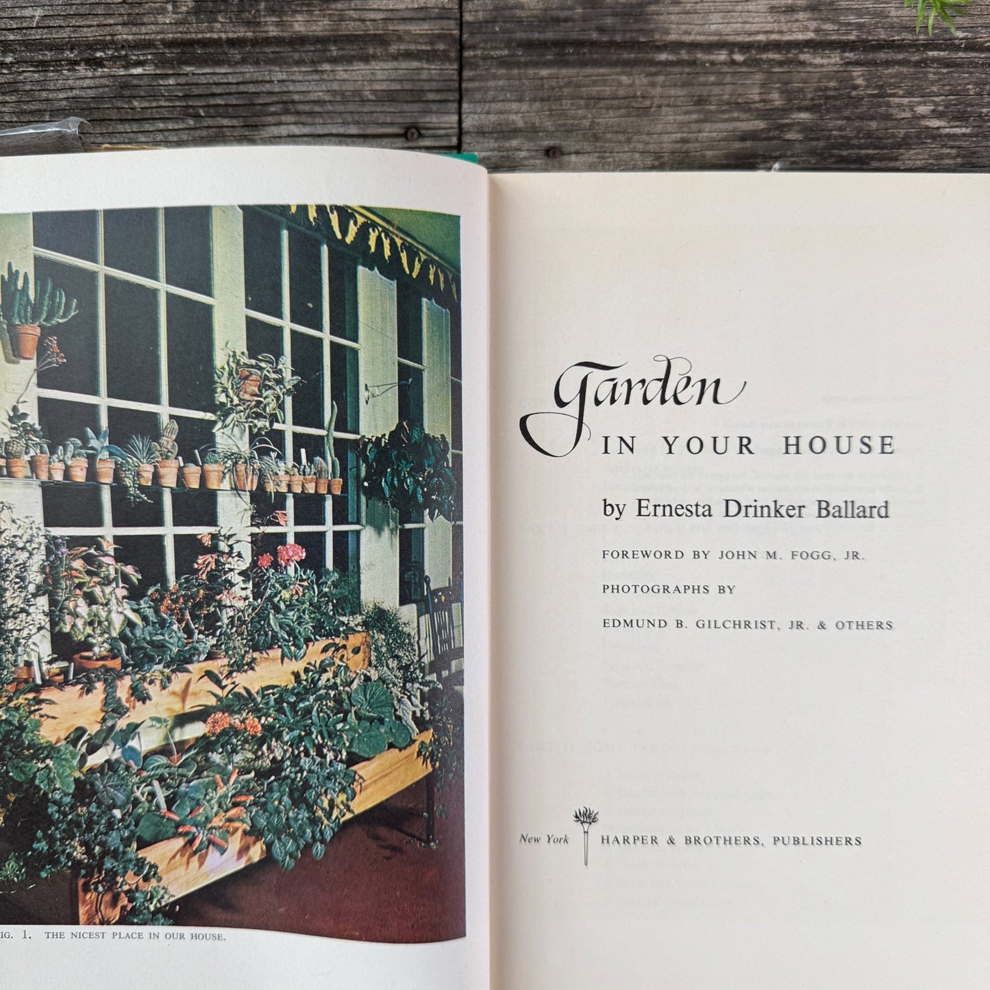 Garden in Your House by Ernesta Drinker Ballard, 1958 - Pretty Old Books
