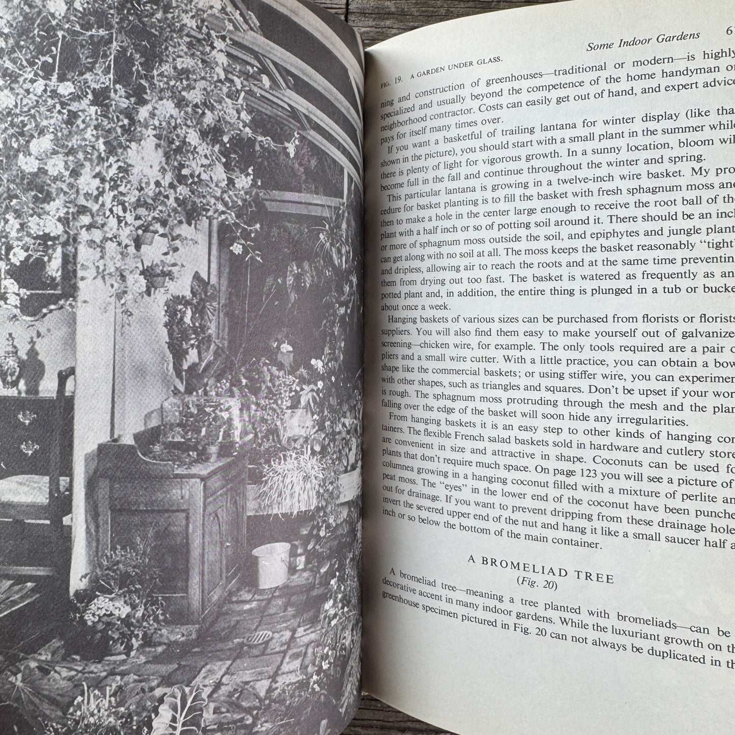 Garden in Your House by Ernesta Drinker Ballard, 1958 - Pretty Old Books