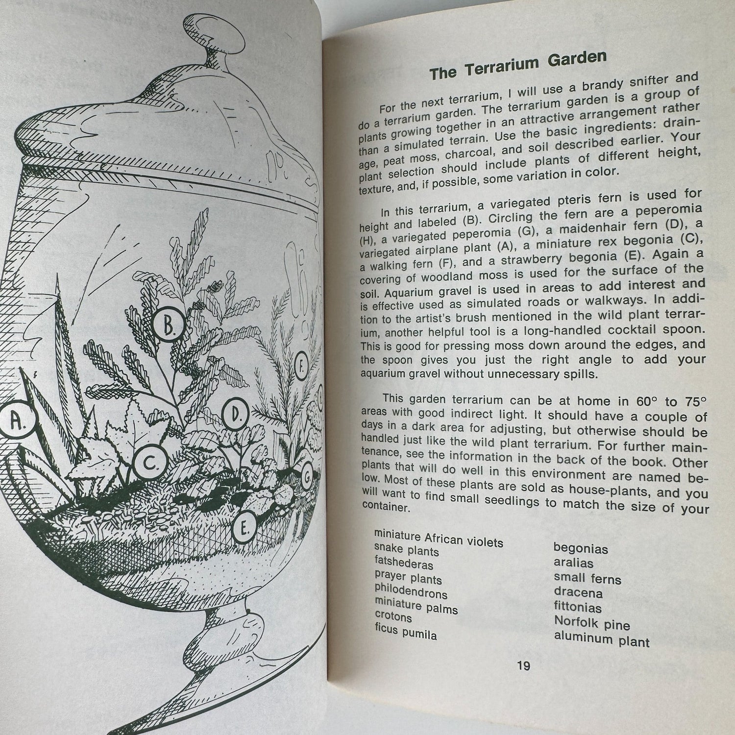 Gardening With Terrariums, Vintage Paperback Illustrated Guide 1973 - Pretty Old Books