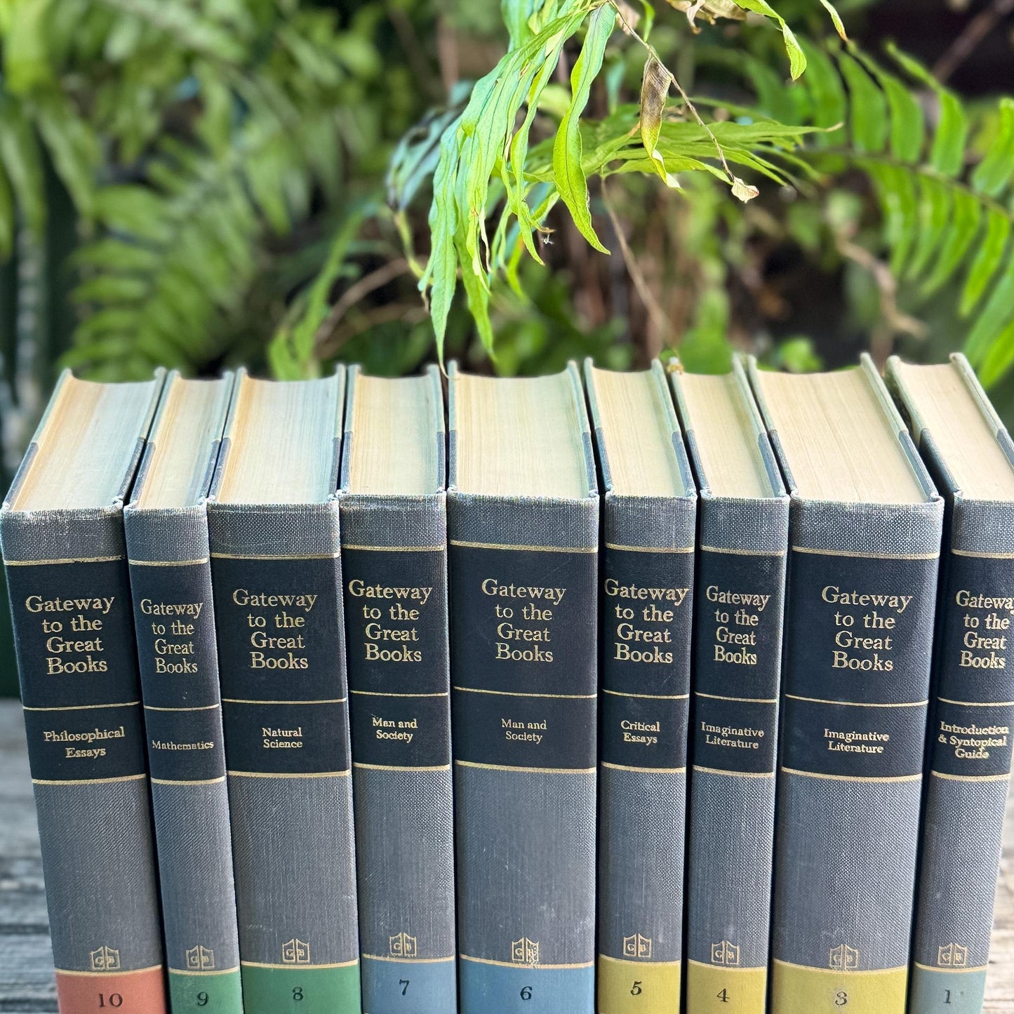 Gateway to the Great Books Vintage Gray and Black Masculine Mid-Century Shelf Styling Prop 1963 - Pretty Old Books