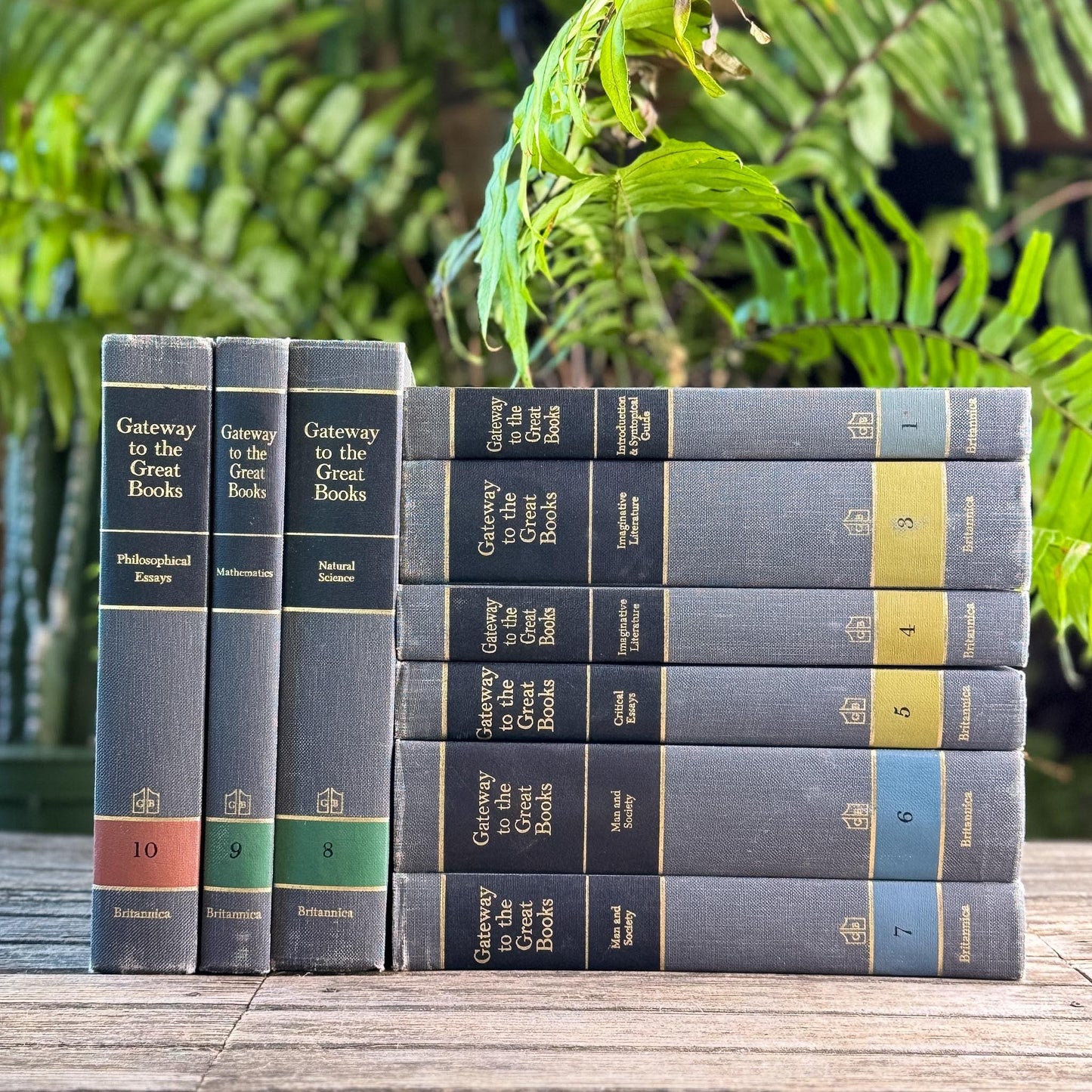 Gateway to the Great Books Vintage Gray and Black Masculine Mid-Century Shelf Styling Prop 1963 - Pretty Old Books