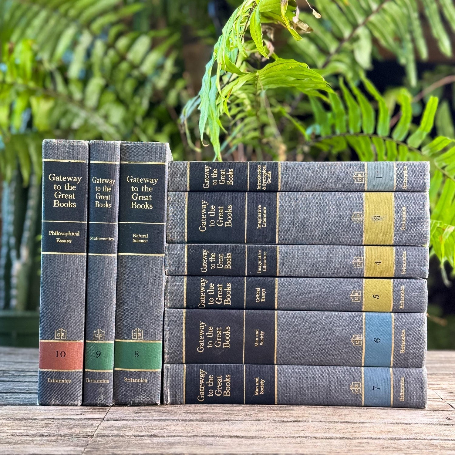Gateway to the Great Books Vintage Gray and Black Masculine Mid-Century Shelf Styling Prop 1963 - Pretty Old Books