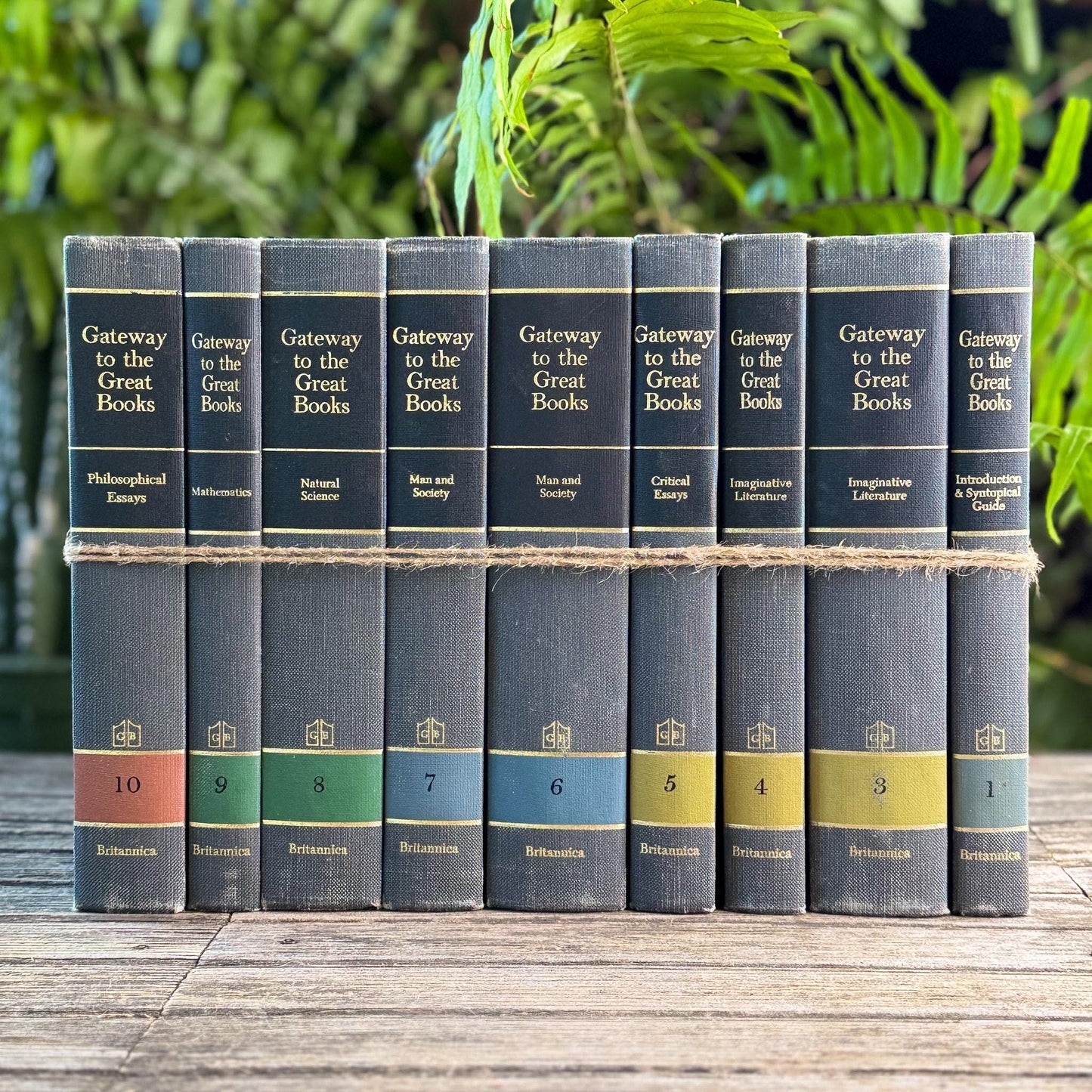 Gateway to the Great Books Vintage Gray and Black Masculine Mid-Century Shelf Styling Prop 1963 - Pretty Old Books