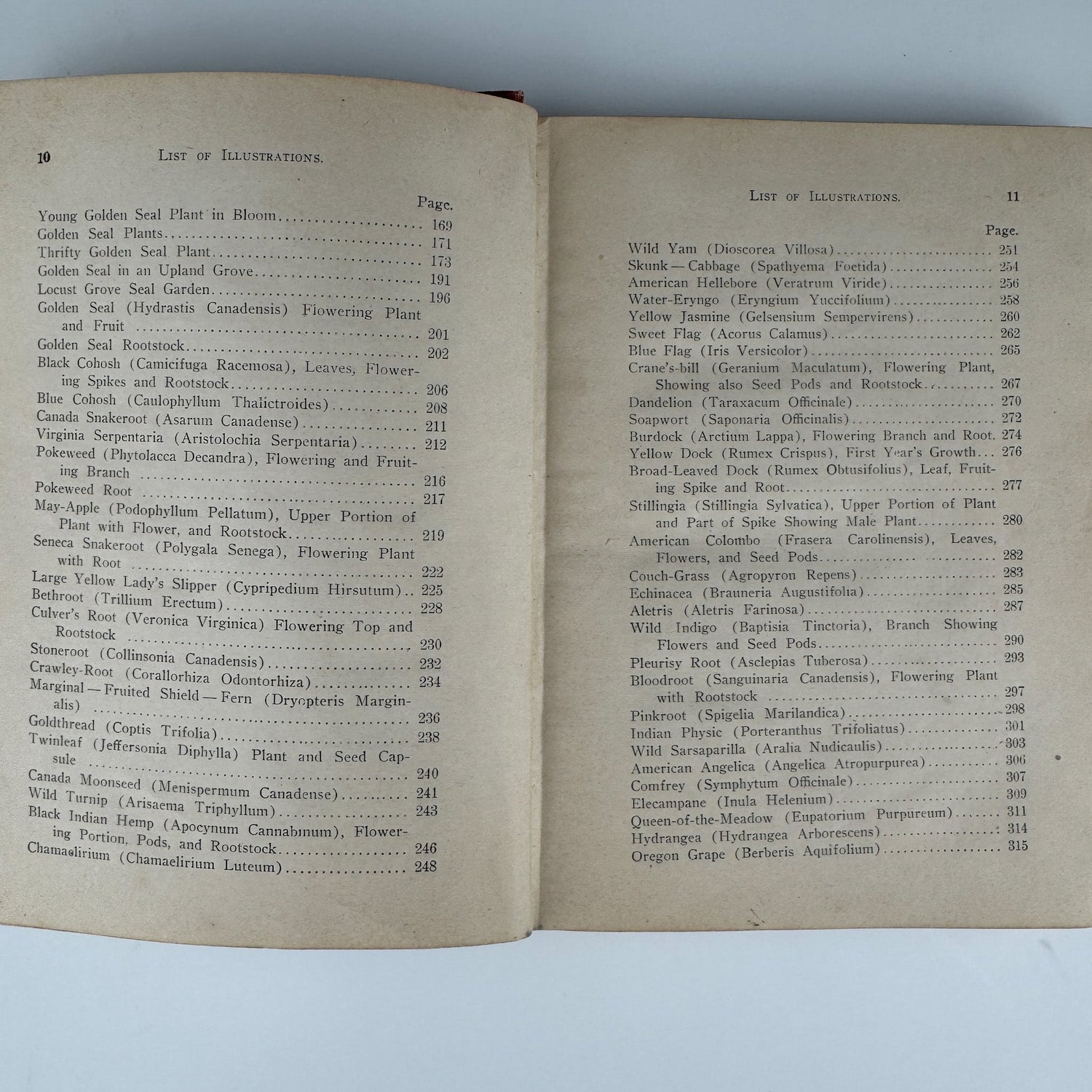 Ginseng and Other Medicinal Plants, 1908, A.R. Harding - Pretty Old Books