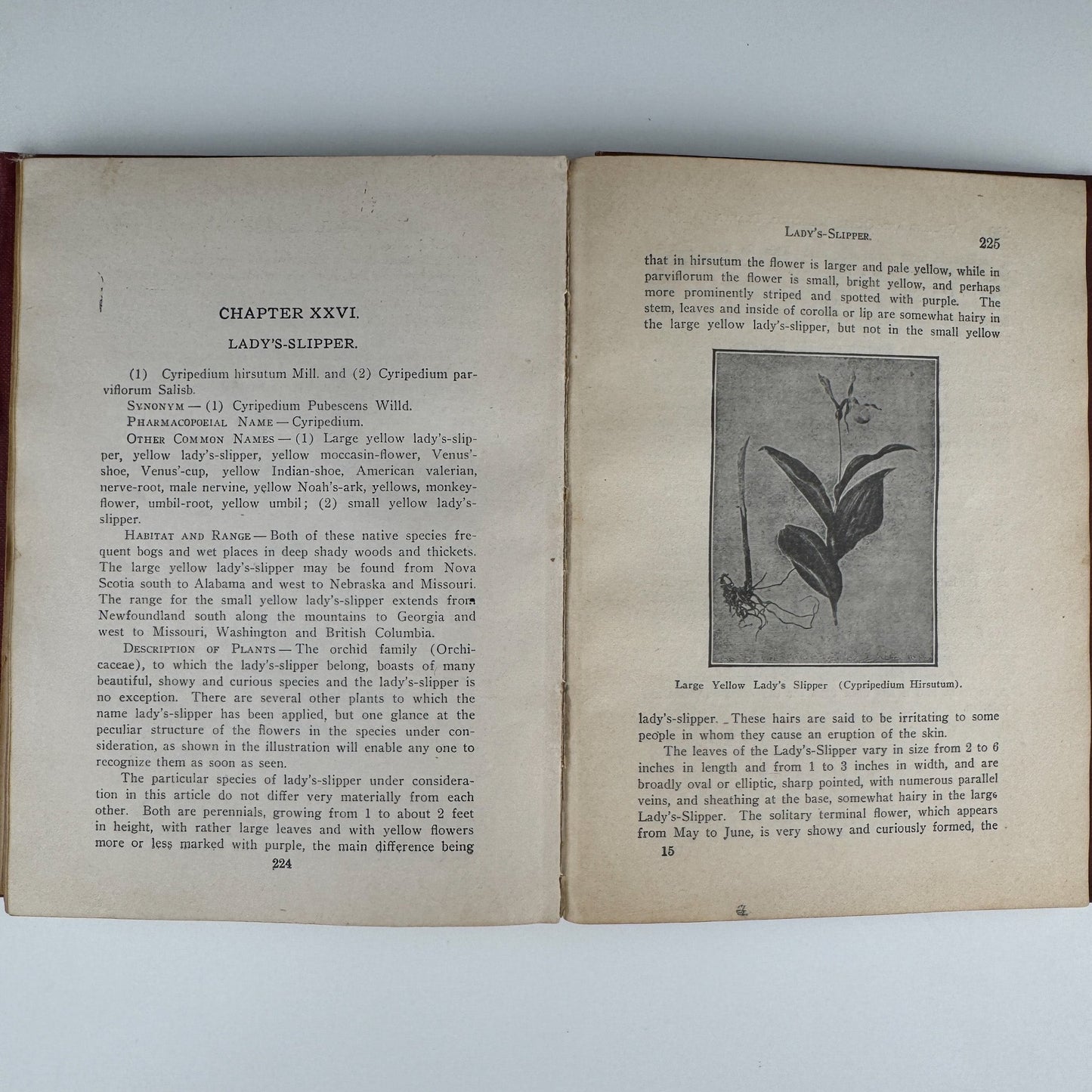 Ginseng and Other Medicinal Plants, 1908, A.R. Harding - Pretty Old Books