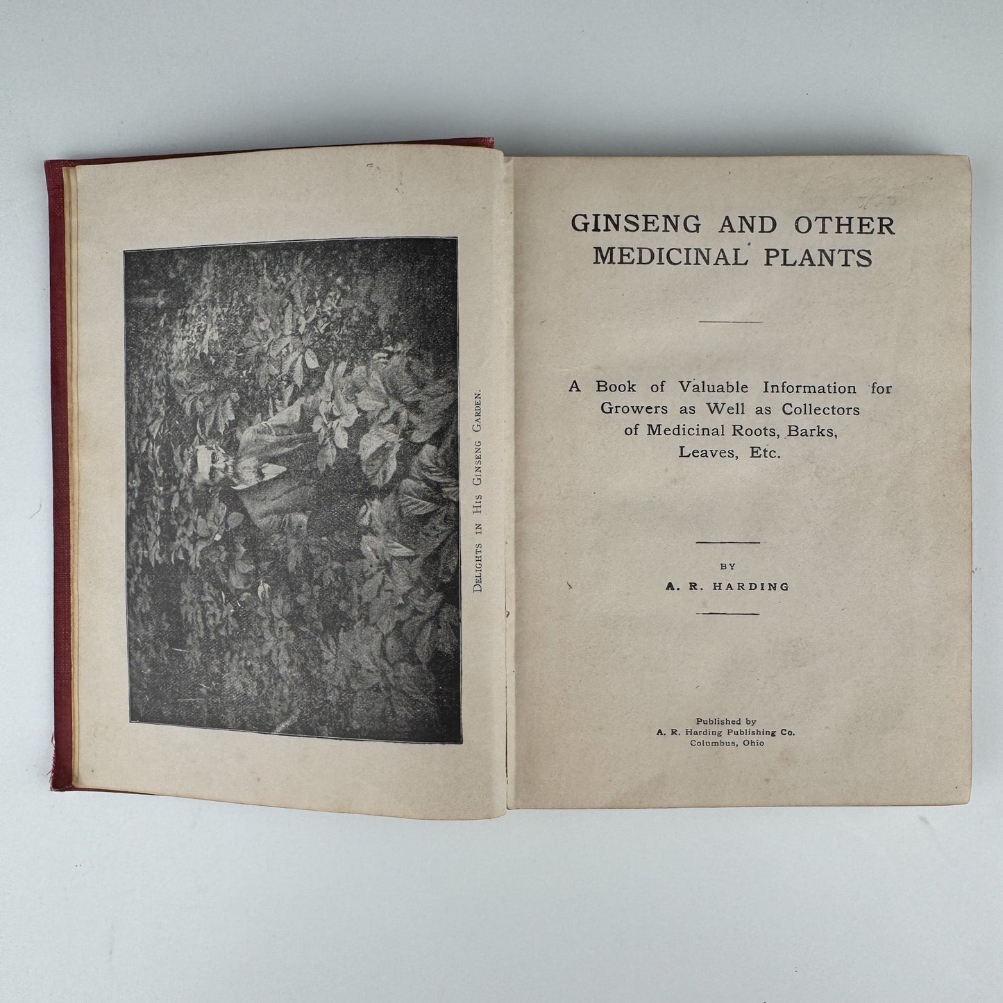 Ginseng and Other Medicinal Plants, 1908, A.R. Harding - Pretty Old Books