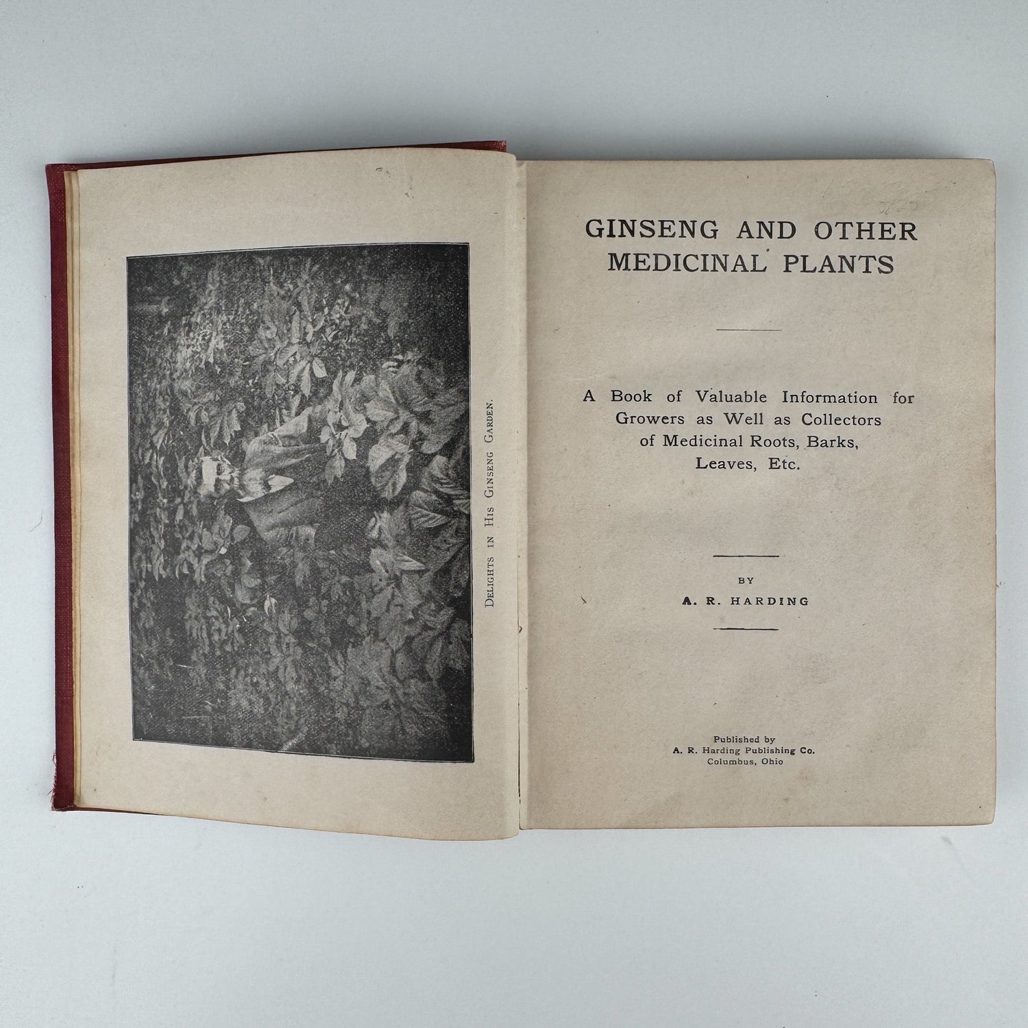 Ginseng and Other Medicinal Plants, 1908, A.R. Harding - Pretty Old Books