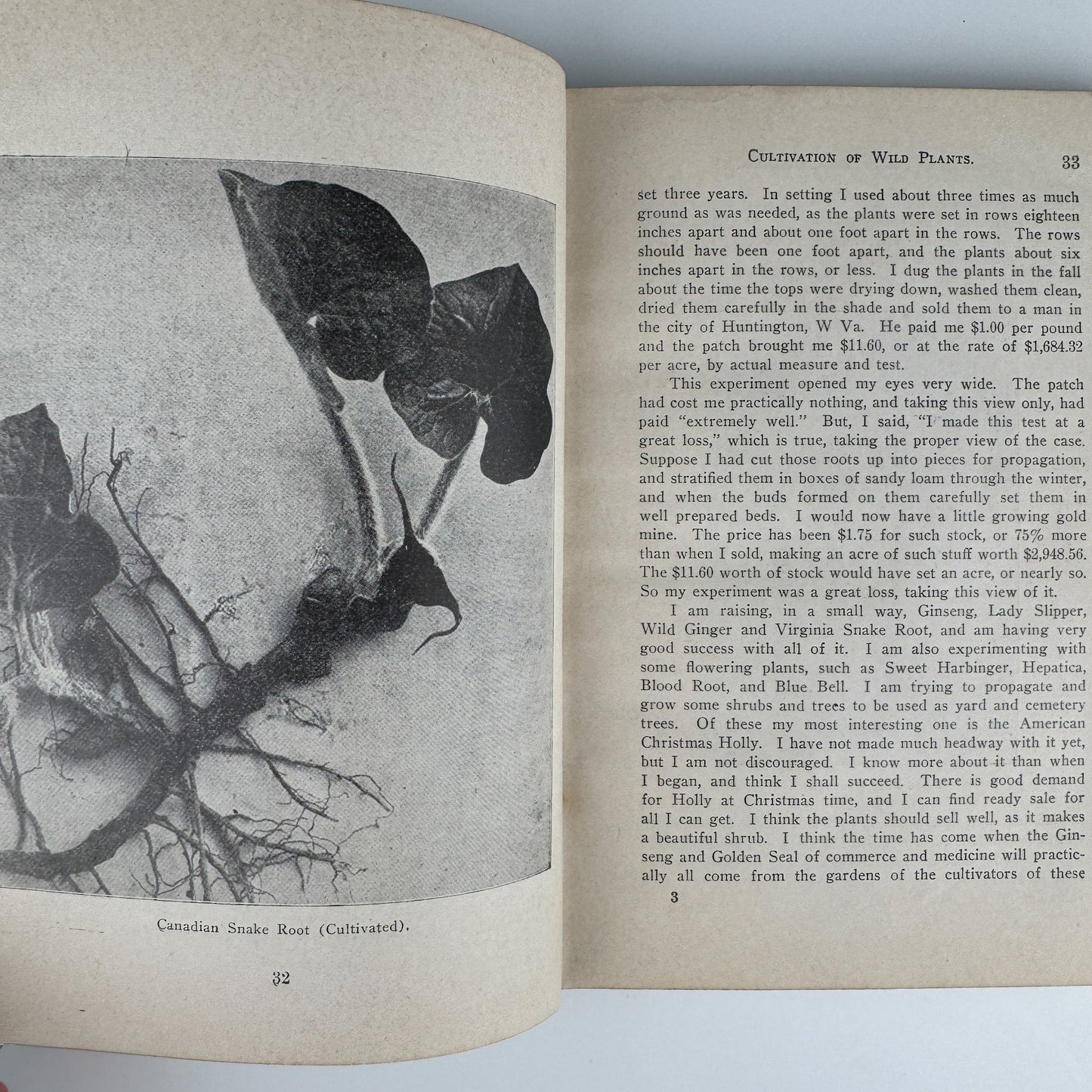Ginseng and Other Medicinal Plants, 1908, A.R. Harding - Pretty Old Books