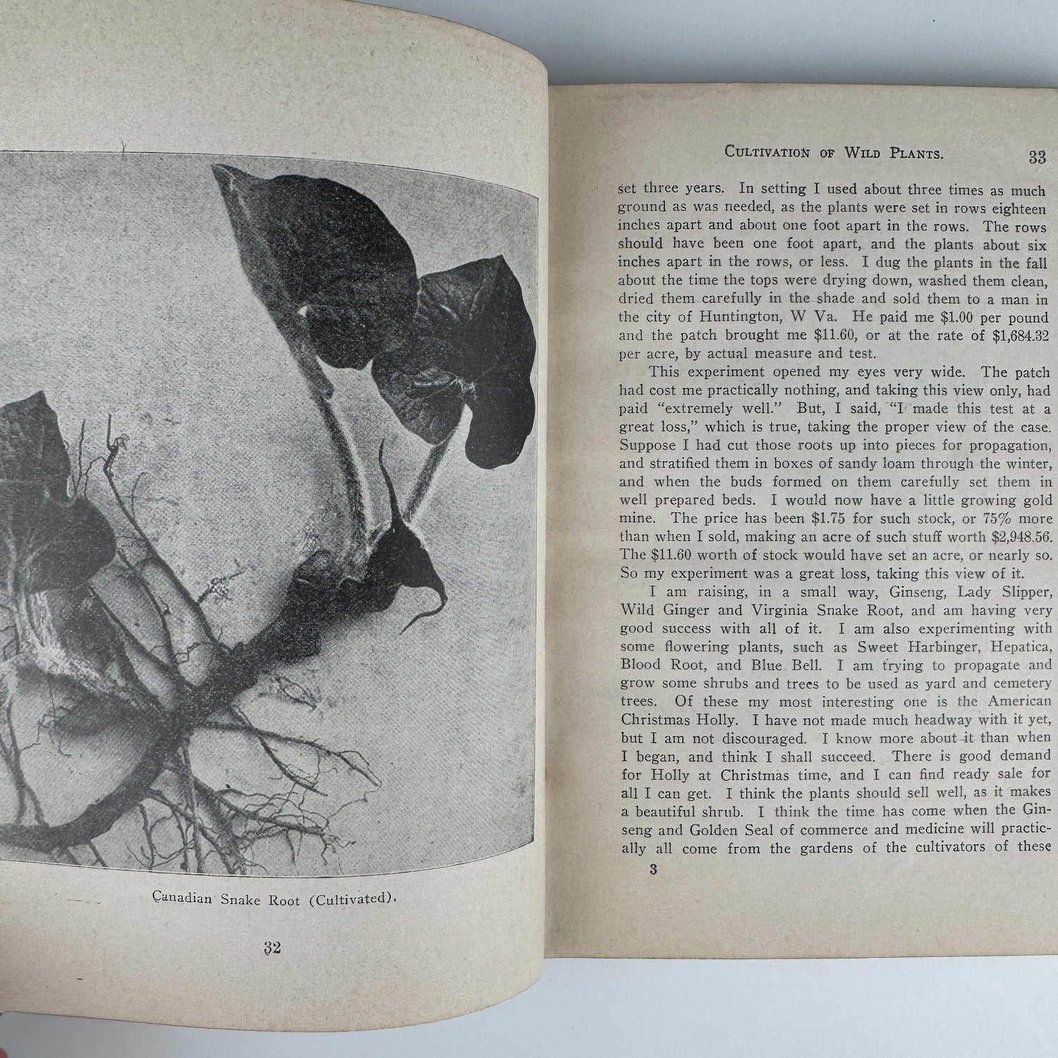 Ginseng and Other Medicinal Plants, 1908, A.R. Harding - Pretty Old Books