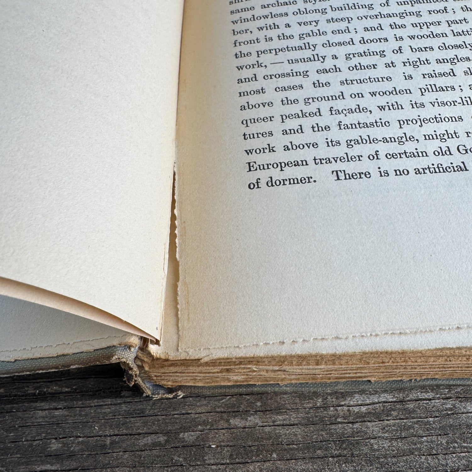 Gleanings in Buddha-Fields: Studies of Hand and Soul in the Far East, 1897 - Pretty Old Books