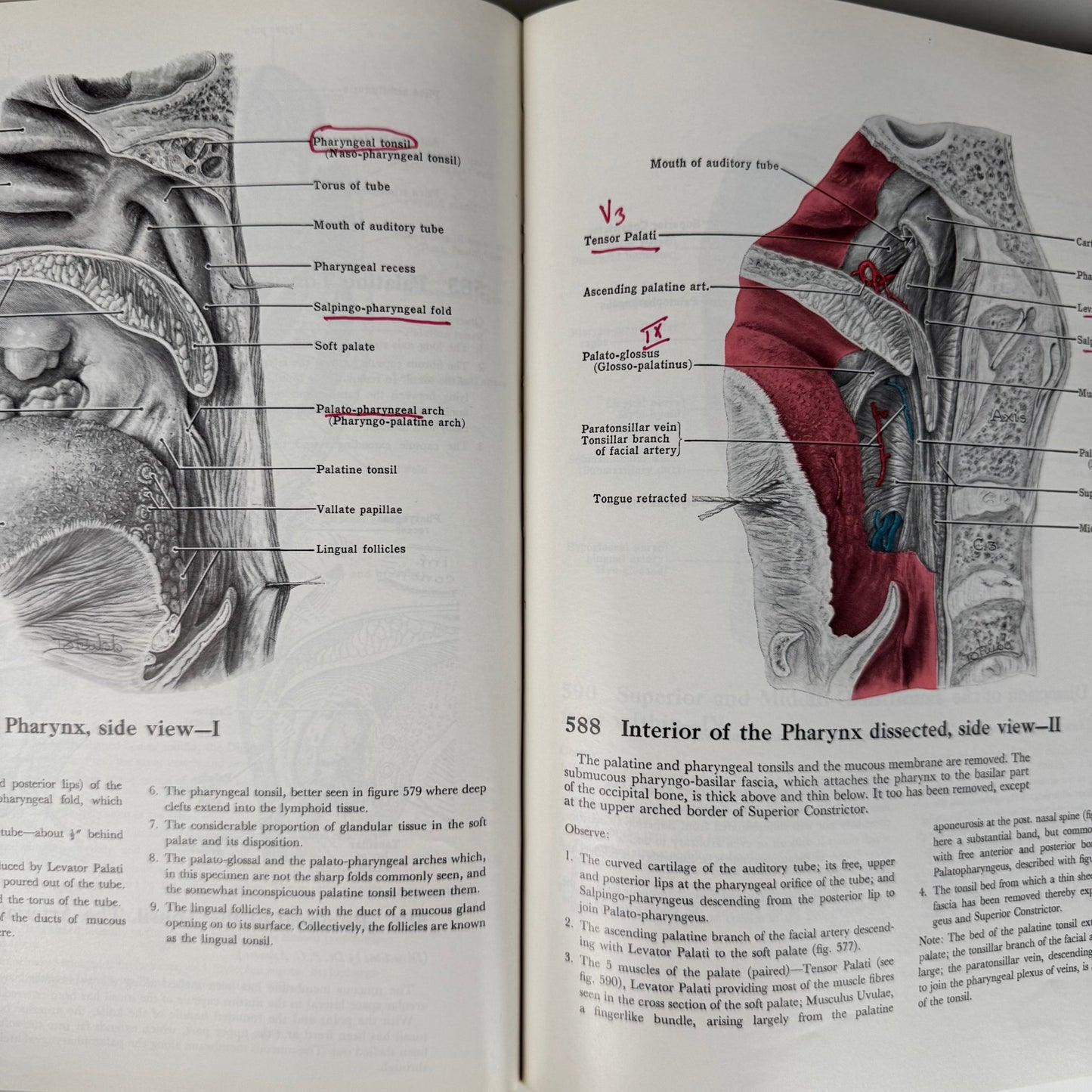 Grant's Atlas of Anatomy, 6th Edition, 1975 Illustrated Hardcover - Pretty Old Books