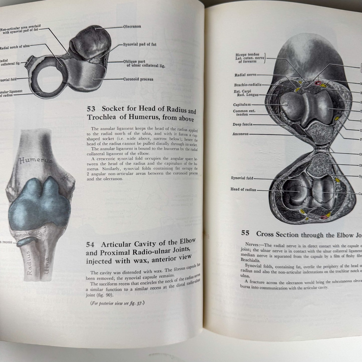 Grant's Atlas of Anatomy, 6th Edition, 1975 Illustrated Hardcover - Pretty Old Books