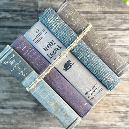 Gray and Taupe Oversized Vintage Shabby Book Bundle - Pretty Old Books