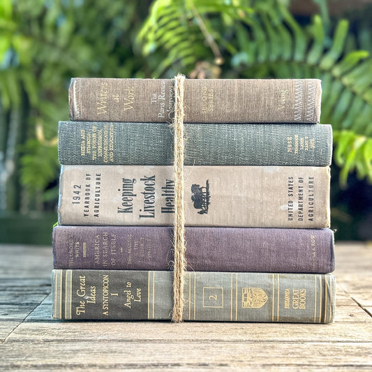 Gray and Taupe Oversized Vintage Shabby Book Bundle - Pretty Old Books