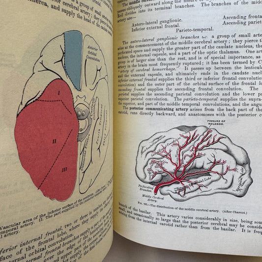 Gray's Anatomy, Descriptive and Surgical, 1974 Reprint of 1901 Edition - Pretty Old Books