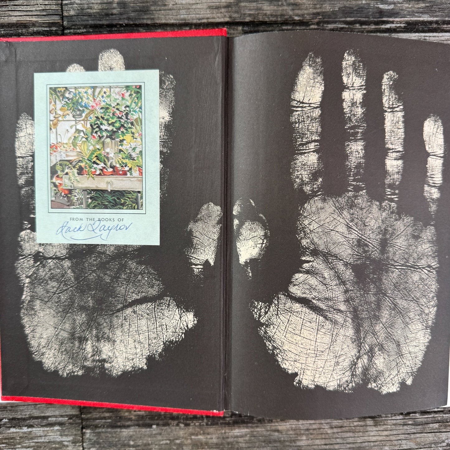 Great Morning, Osbert Sitwell, 1948 - Pretty Old Books