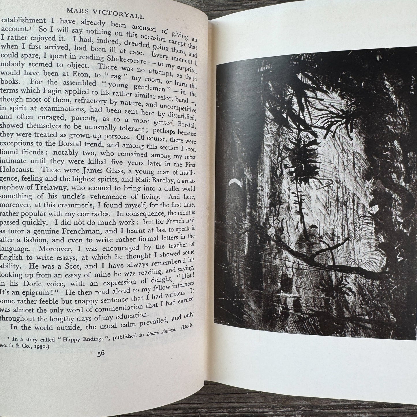 Great Morning, Osbert Sitwell, 1948 - Pretty Old Books