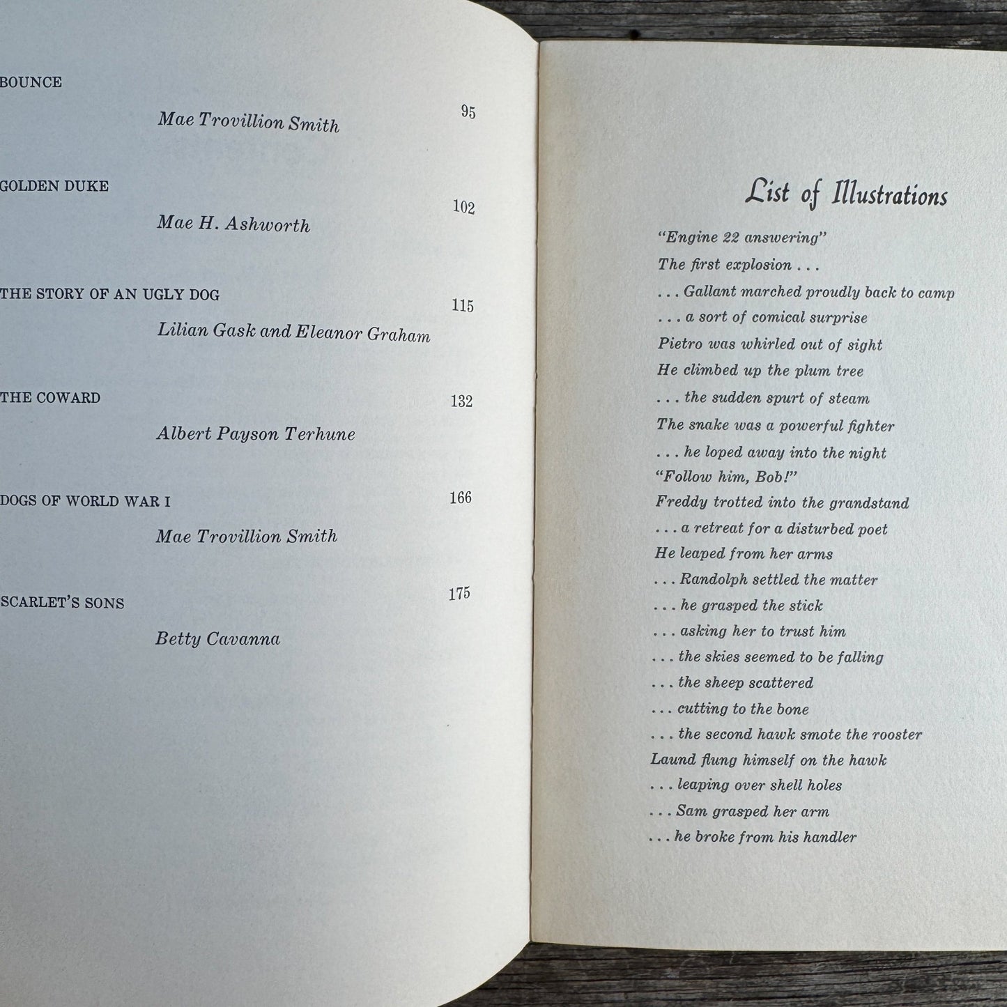 Great Stories About Dogs, 1965 Middle Grade Book - Pretty Old Books