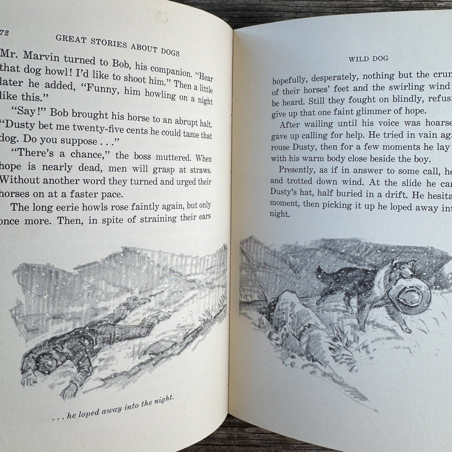 Great Stories About Dogs, 1965 Middle Grade Book - Pretty Old Books