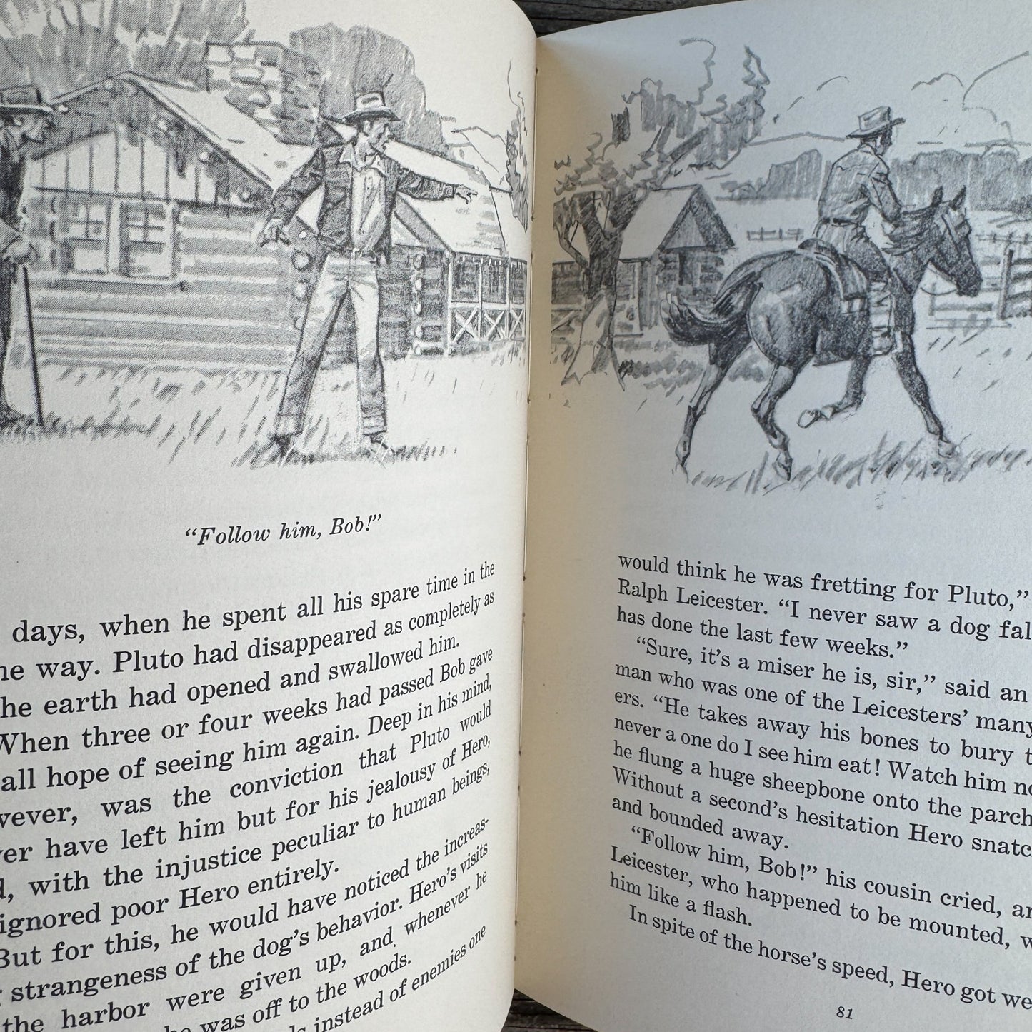 Great Stories About Dogs, 1965 Middle Grade Book - Pretty Old Books