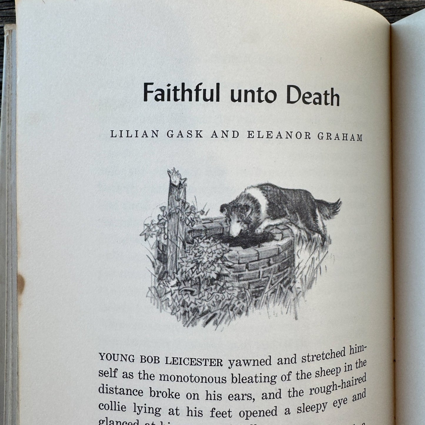 Great Stories About Dogs, 1965 Middle Grade Book - Pretty Old Books