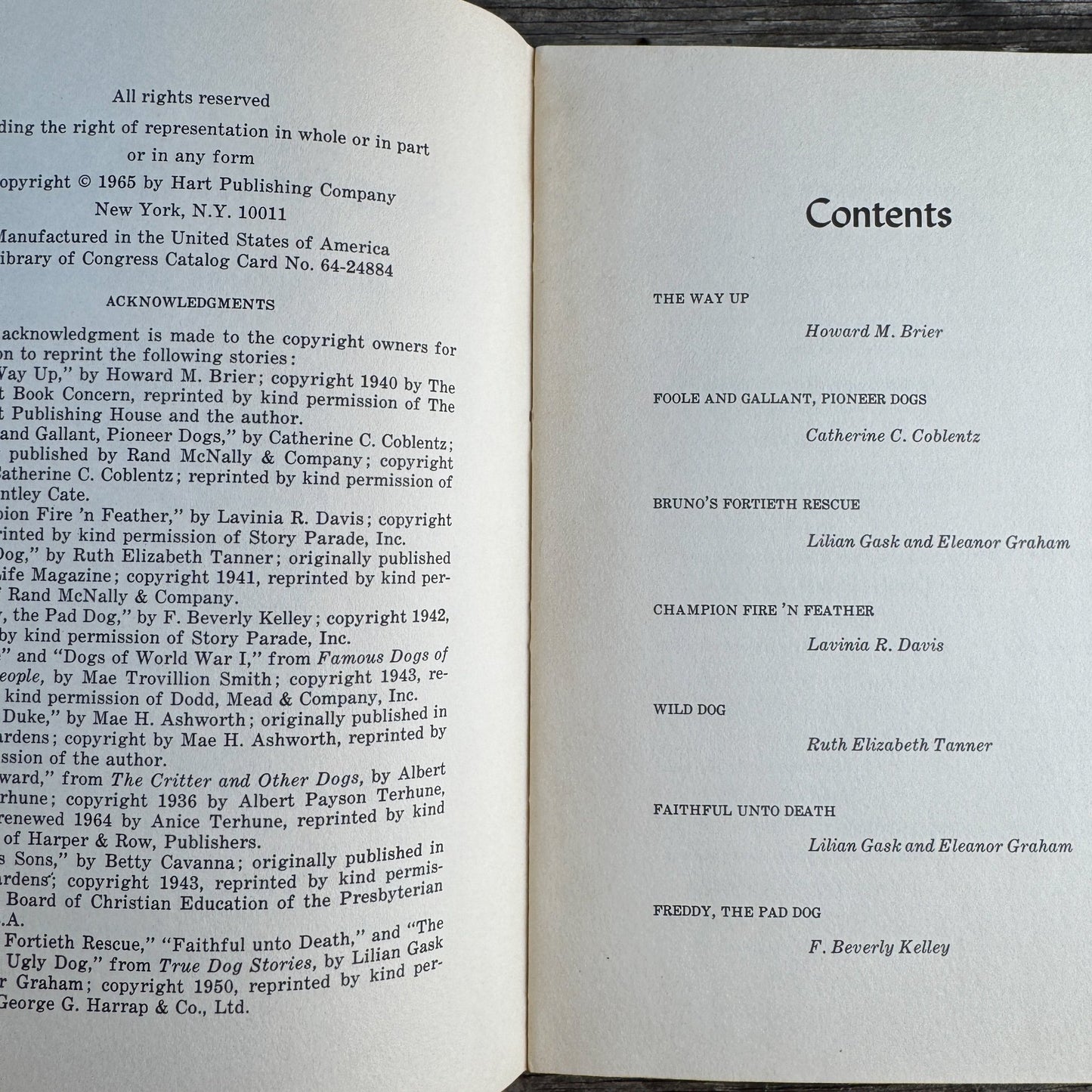 Great Stories About Dogs, 1965 Middle Grade Book - Pretty Old Books