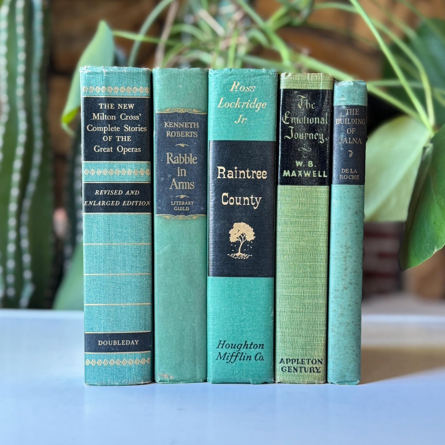 Green and Black Vintage Book Bundle for Decor, Mid Century Shelf Styling - Pretty Old Books