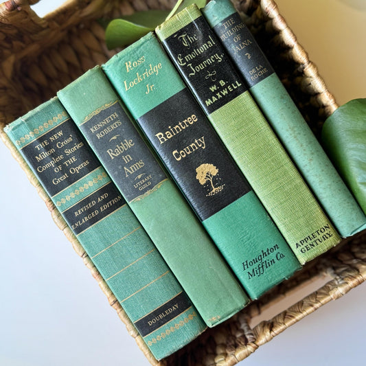 Green and Black Vintage Book Bundle for Decor, Mid Century Shelf Styling - Pretty Old Books