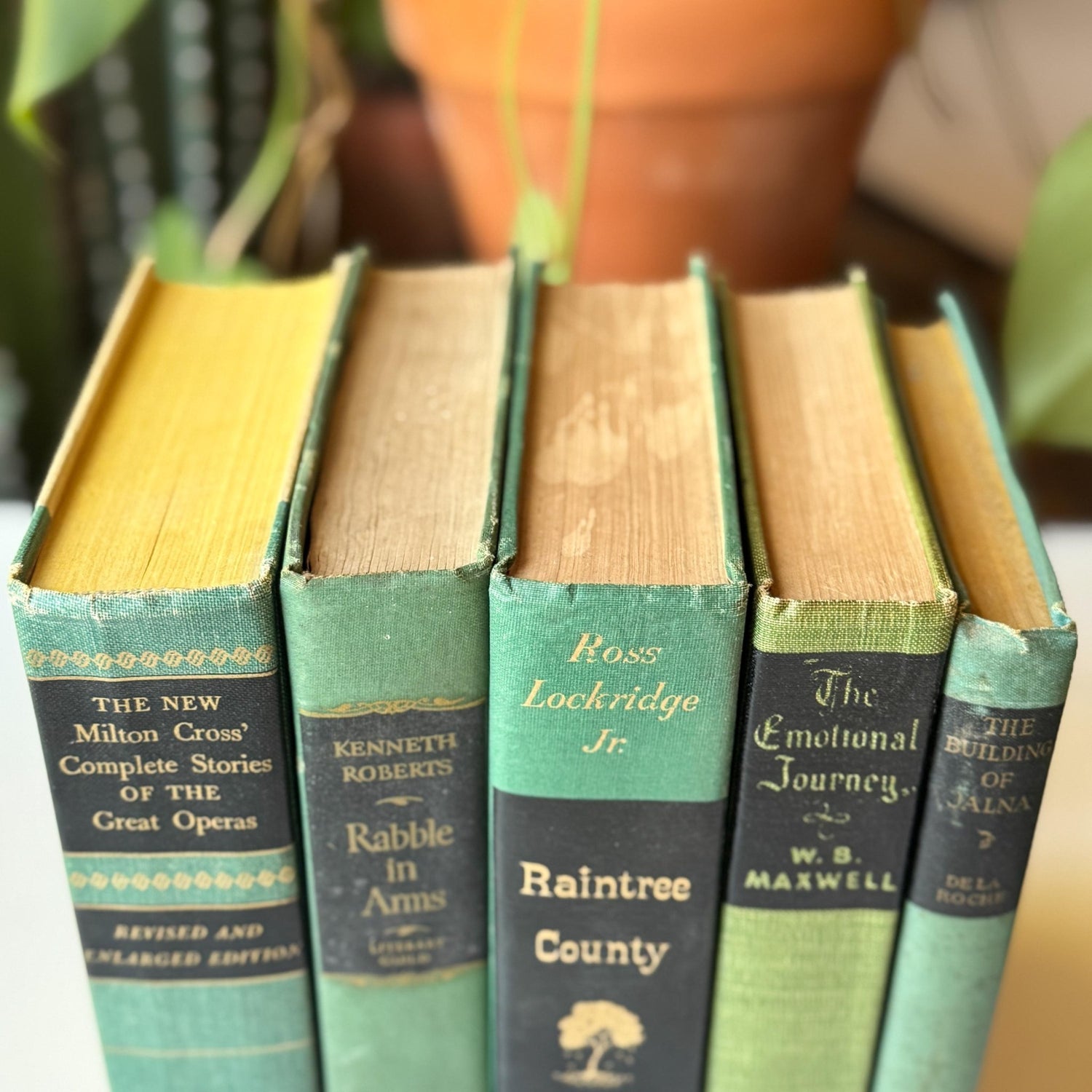 Green and Black Vintage Book Bundle for Decor, Mid Century Shelf Styling - Pretty Old Books
