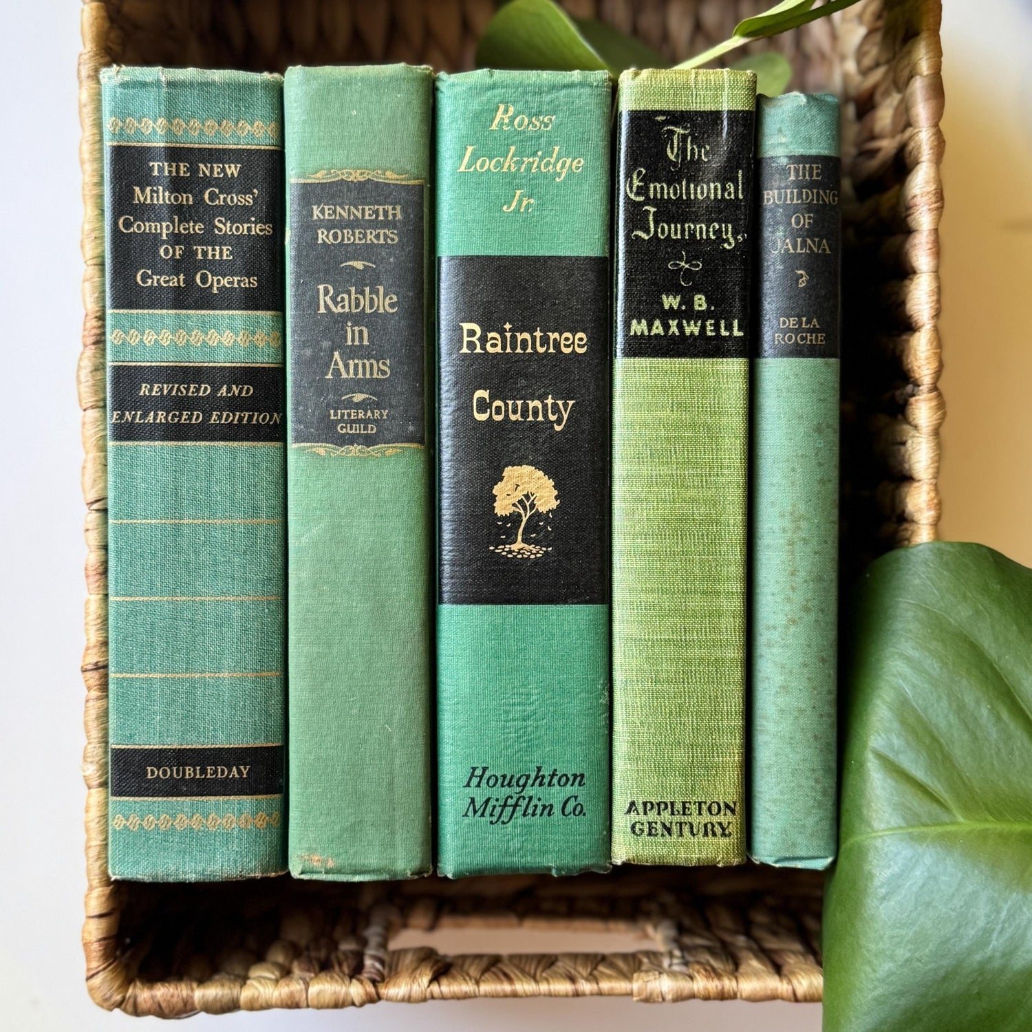 Green and Black Vintage Book Bundle for Decor, Mid Century Shelf Styling - Pretty Old Books