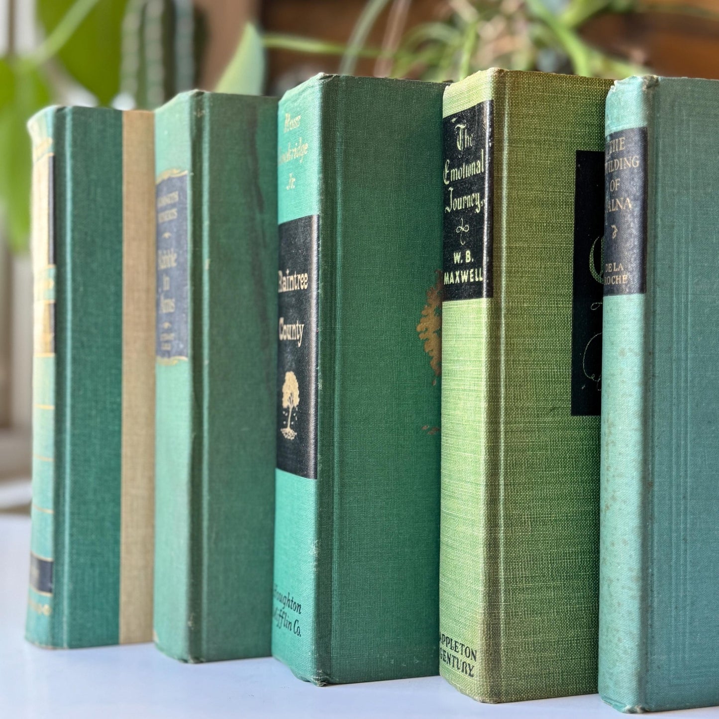 Green and Black Vintage Book Bundle for Decor, Mid Century Shelf Styling - Pretty Old Books