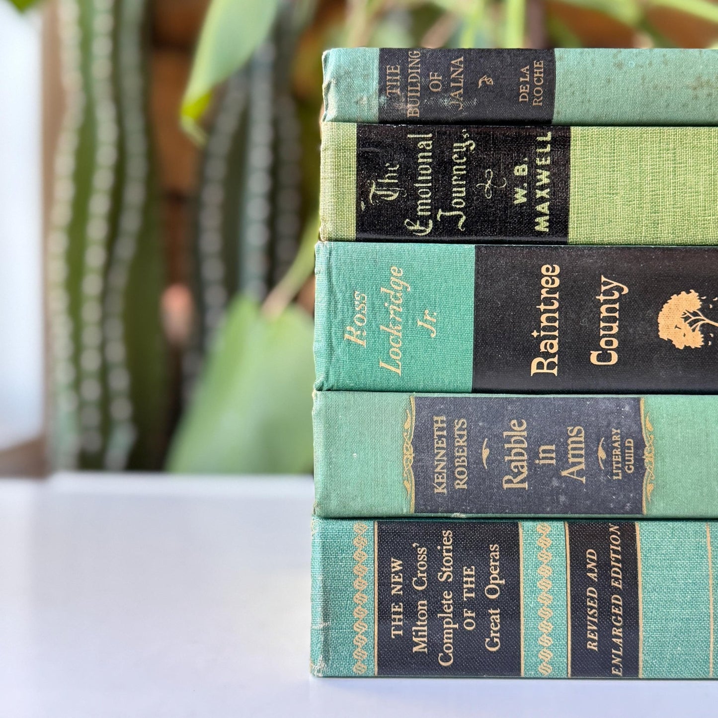 Green and Black Vintage Book Bundle for Decor, Mid Century Shelf Styling - Pretty Old Books