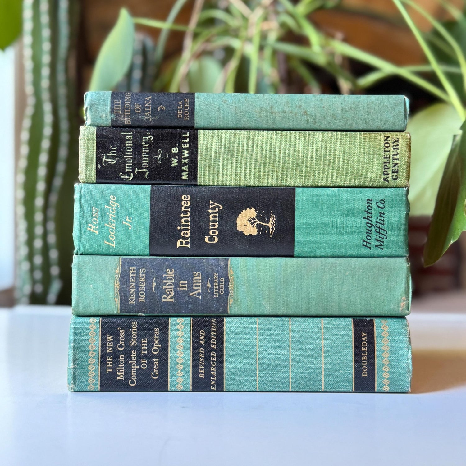 Green and Black Vintage Book Bundle for Decor, Mid Century Shelf Styling - Pretty Old Books