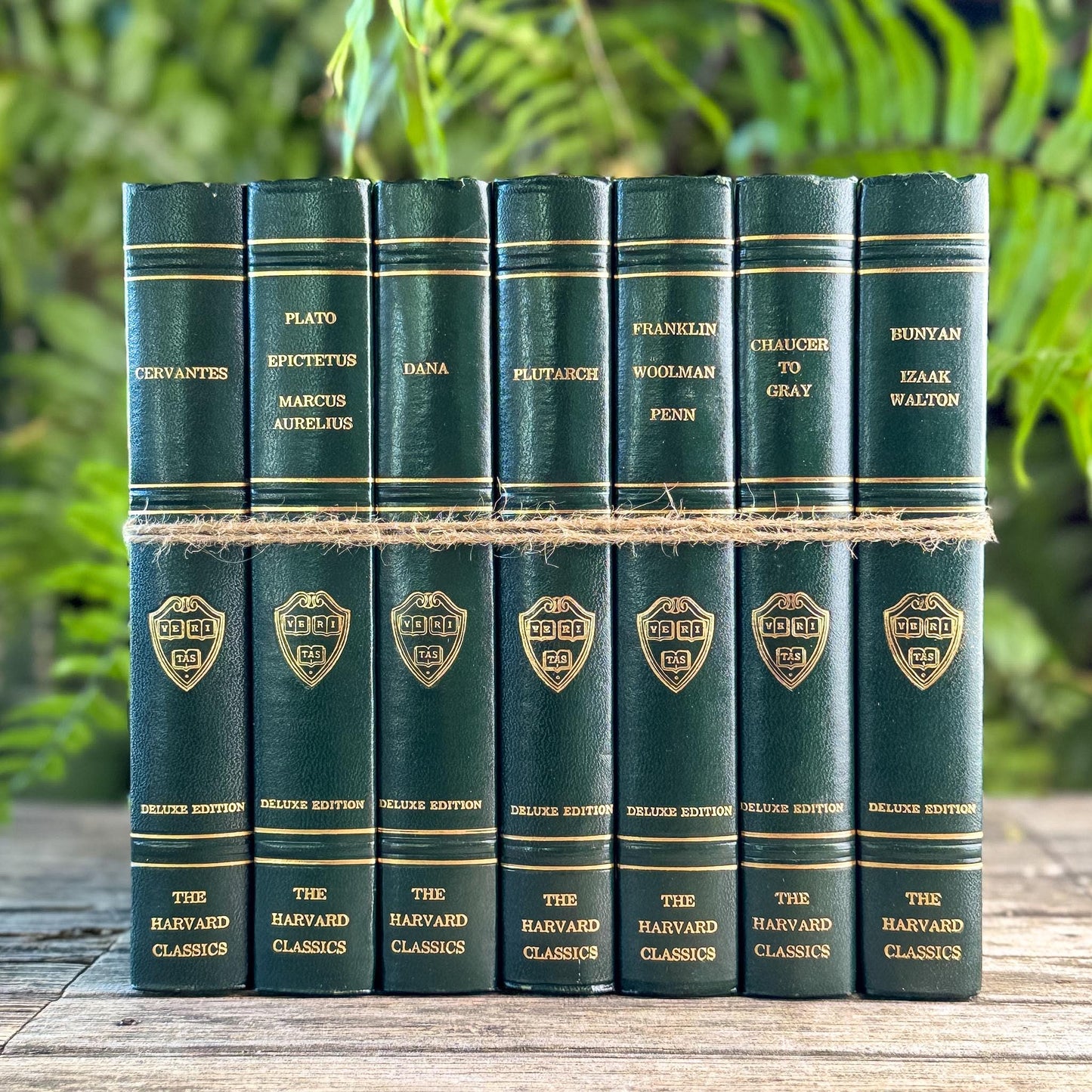 Green Harvard Classics Literature Bundle, 1969 - Pretty Old Books