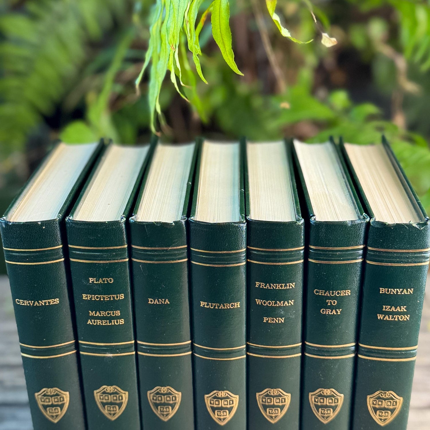 Green Harvard Classics Literature Bundle, 1969 - Pretty Old Books