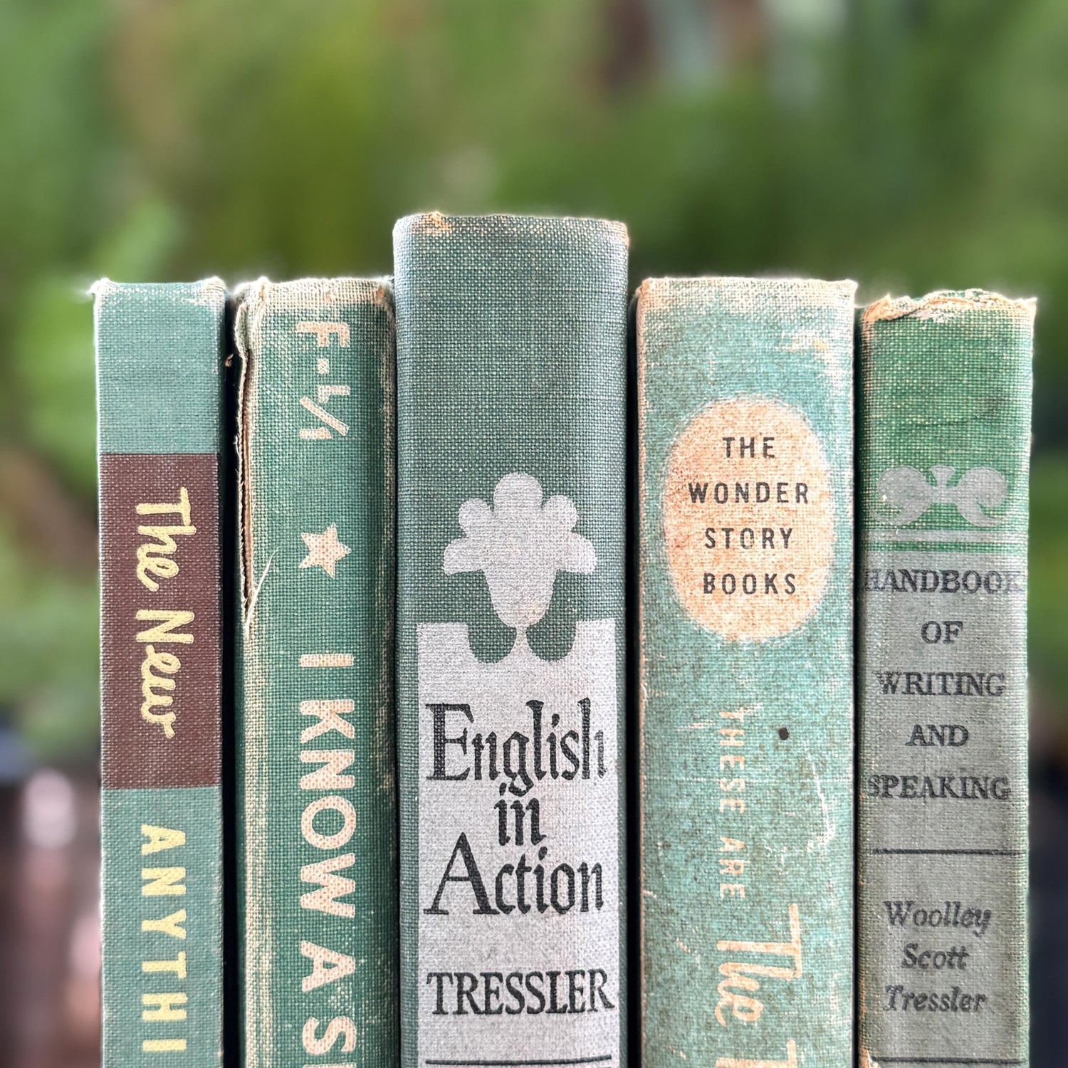 Green Mid - Century English Textbook Bundle - Pretty Old Books