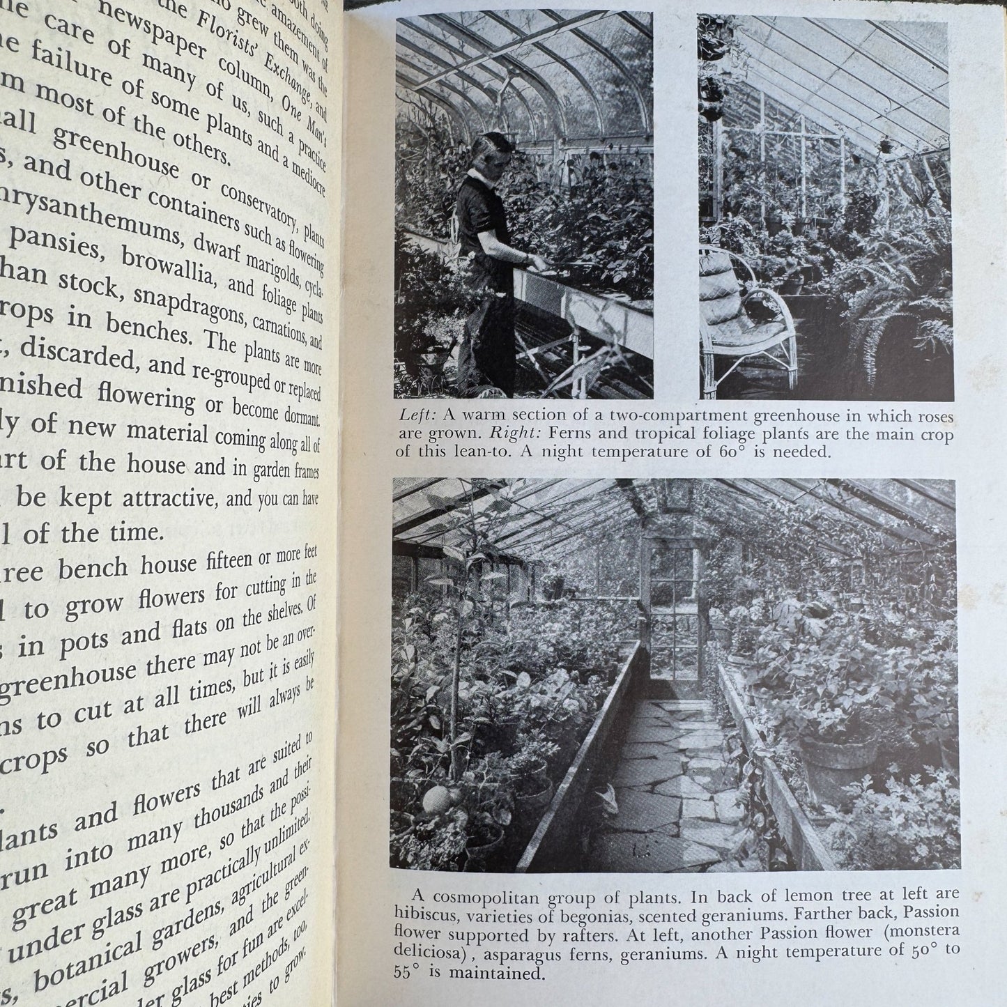 Greenhouse Gardening for Everyone, Ernest Chabot, First Edition 1946 - Pretty Old Books