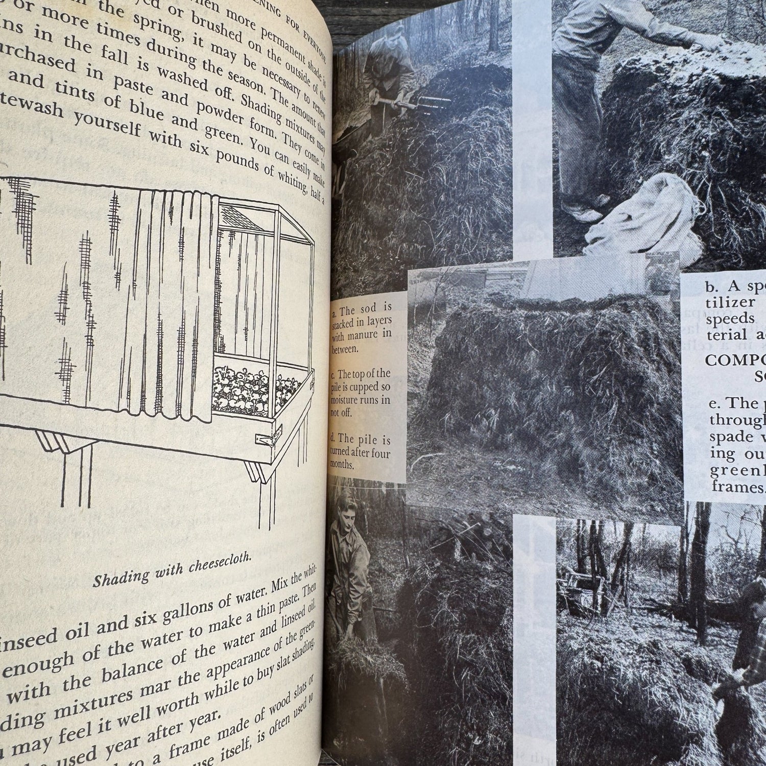 Greenhouse Gardening for Everyone, Ernest Chabot, First Edition 1946 - Pretty Old Books