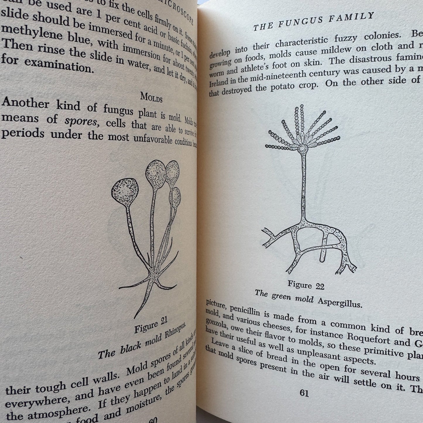 Guide to the Microscope, Arthur Beiser, 1966, Illustrated - Pretty Old Books