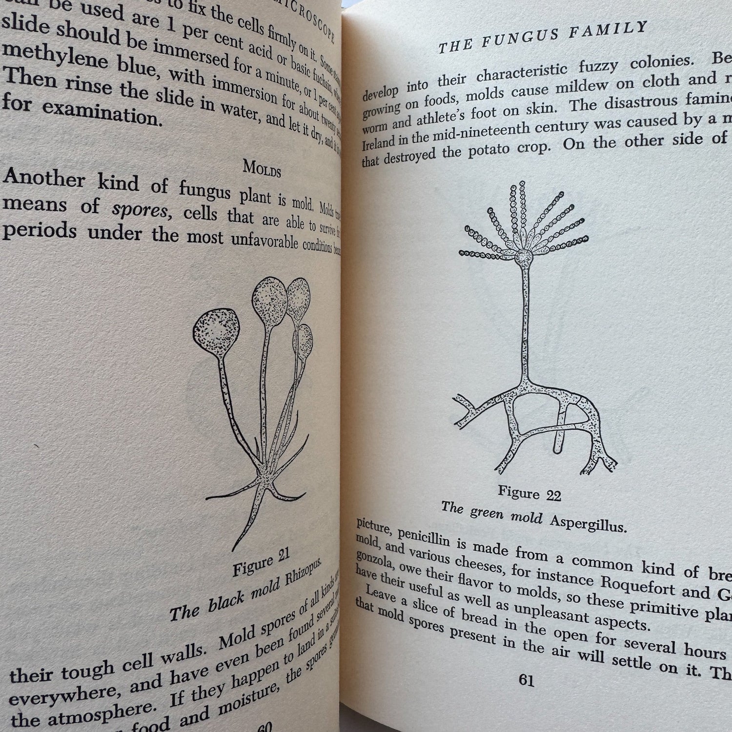 Guide to the Microscope, Arthur Beiser, 1966, Illustrated - Pretty Old Books
