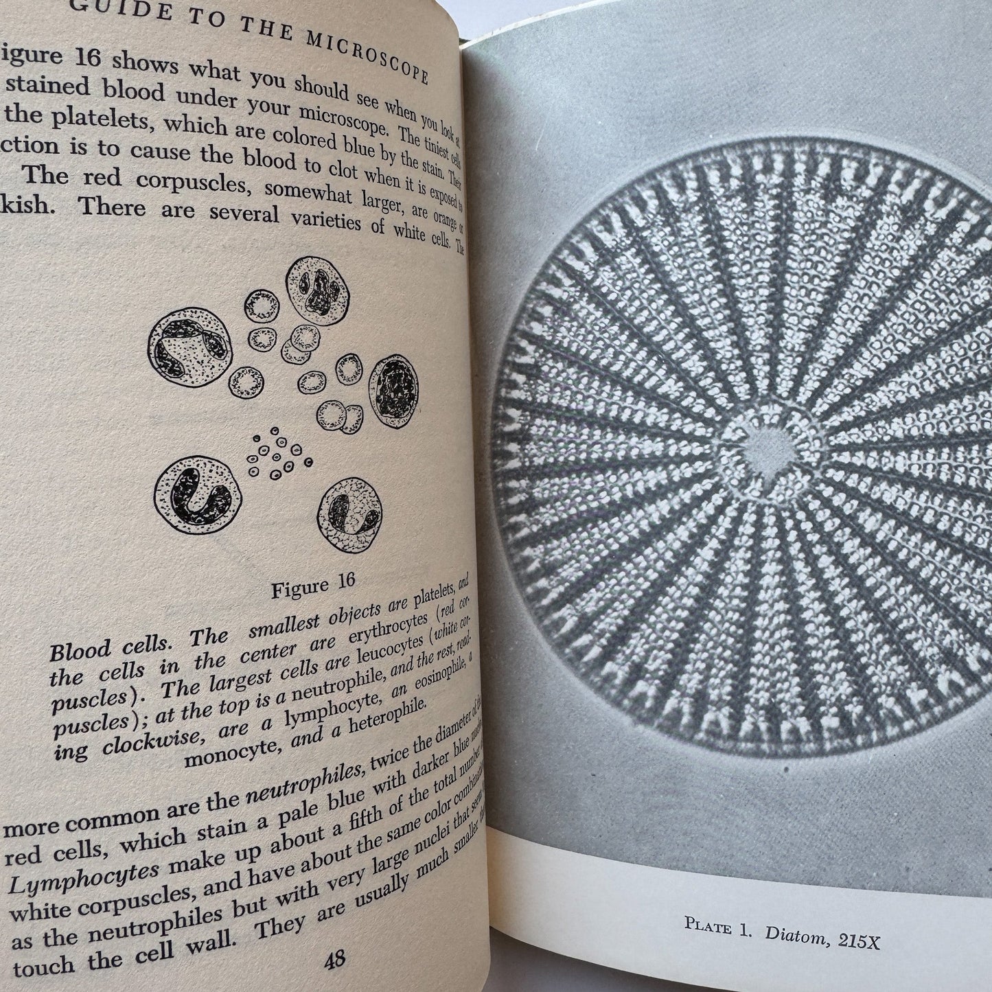Guide to the Microscope, Arthur Beiser, 1966, Illustrated - Pretty Old Books